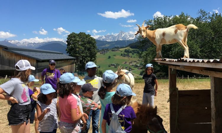 VISIT OF A FARM.JPG