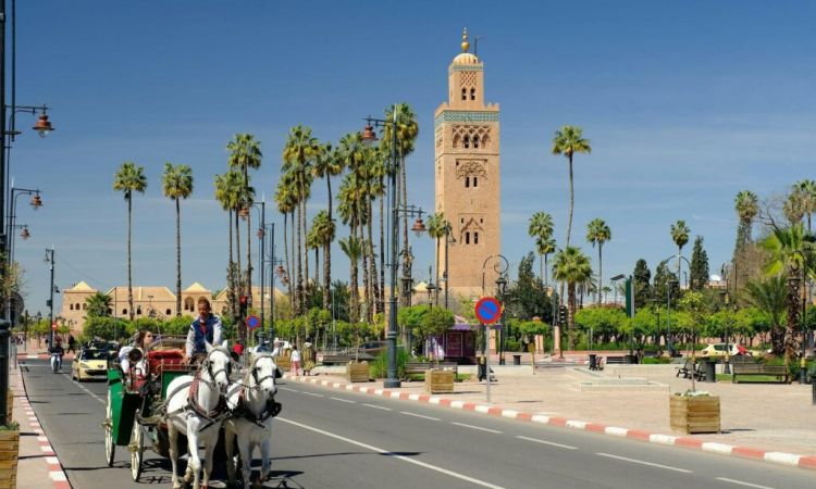 marrakech-1024x683.jpg