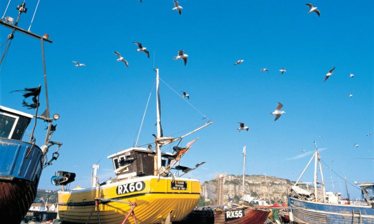 Hastings-fishboats_013.jpg